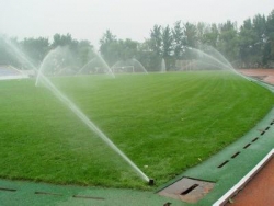 雨鳥噴頭